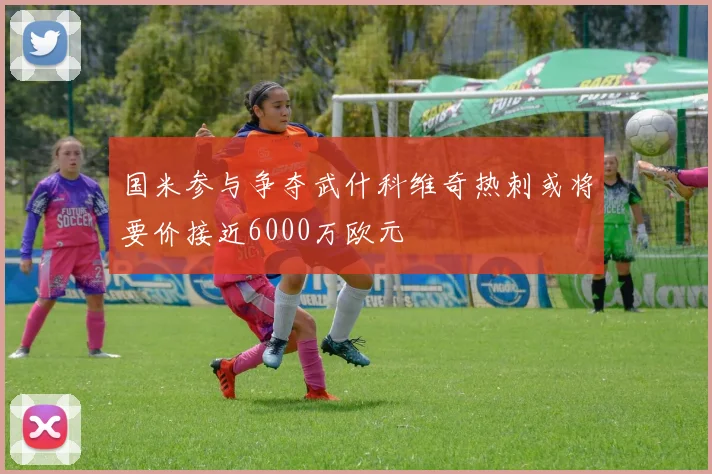国米参与争夺武什科维奇热刺或将要价接近6000万欧元