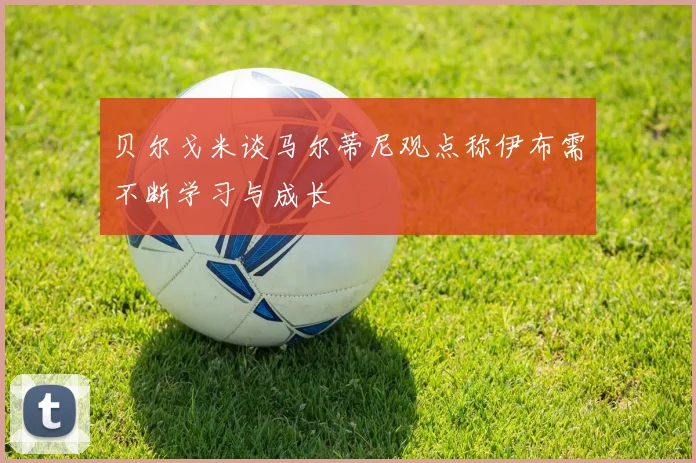 贝尔戈米谈马尔蒂尼观点称伊布需不断学习与成长